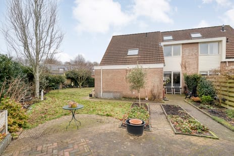 Speenkruid 35 secondary image