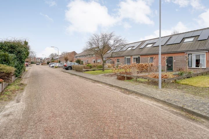 Foto 48 van Speenkruid 35