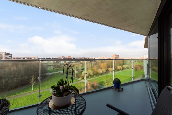 Photo 3 of Tasmanië 242