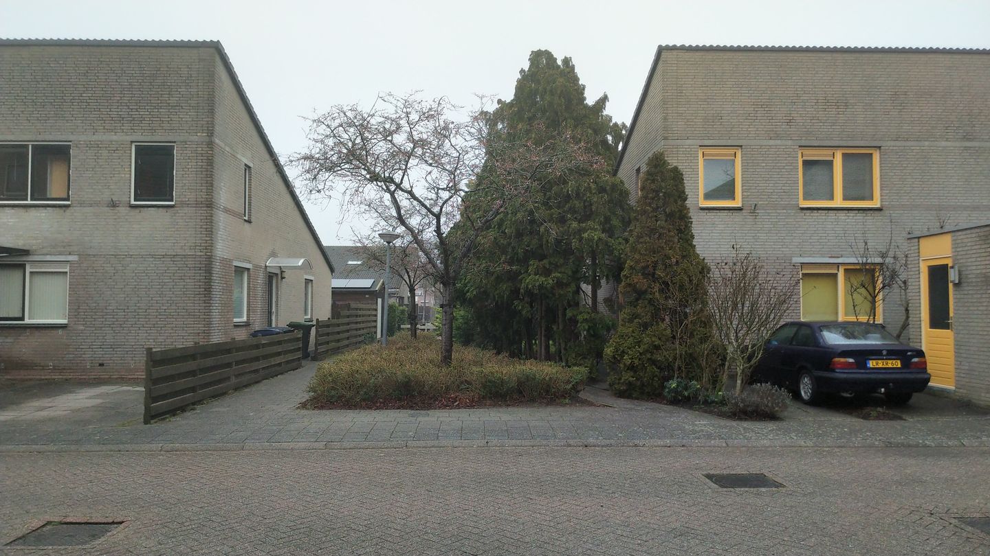Photo 19 of Paukenstraat 54
