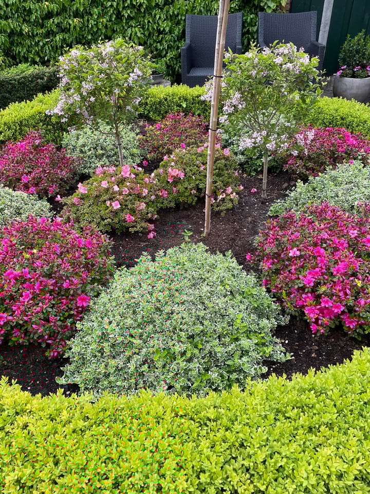 Foto 45 van Pater Beckerstraat 35