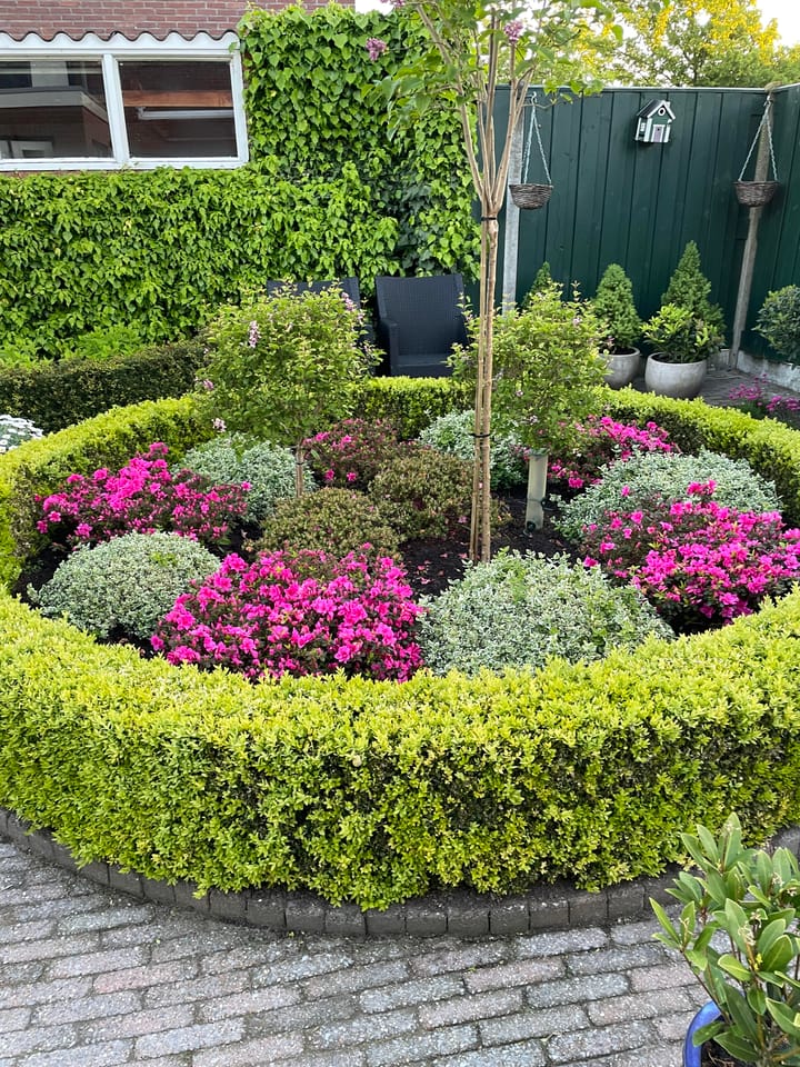 Foto 46 van Pater Beckerstraat 35