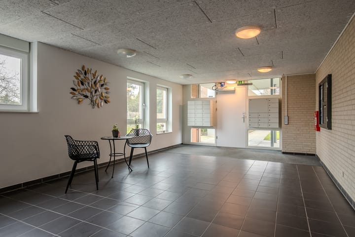 Foto 6 van Olympiade 54