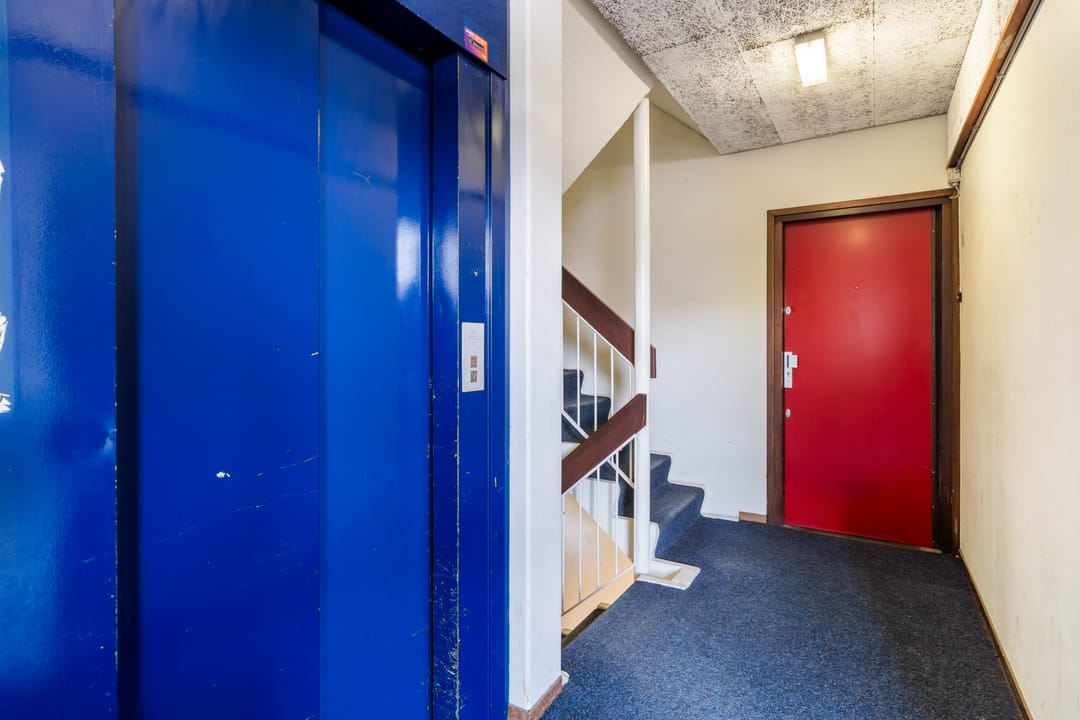 Photo 8 of Weena 761