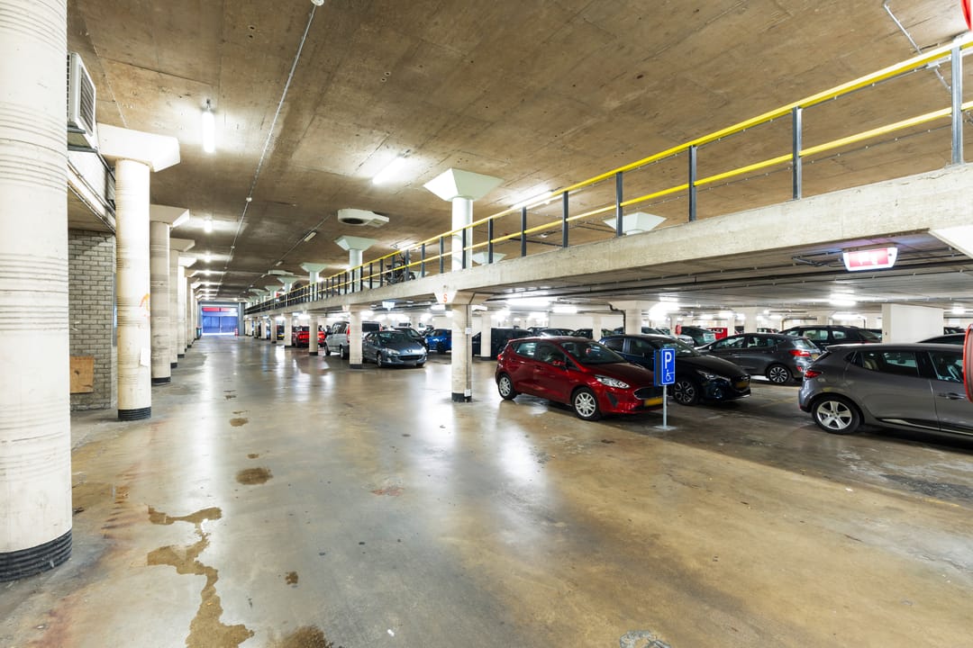 Photo 31 of Weena 761