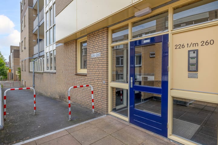 Foto 10 van Henry Moorepassage 252