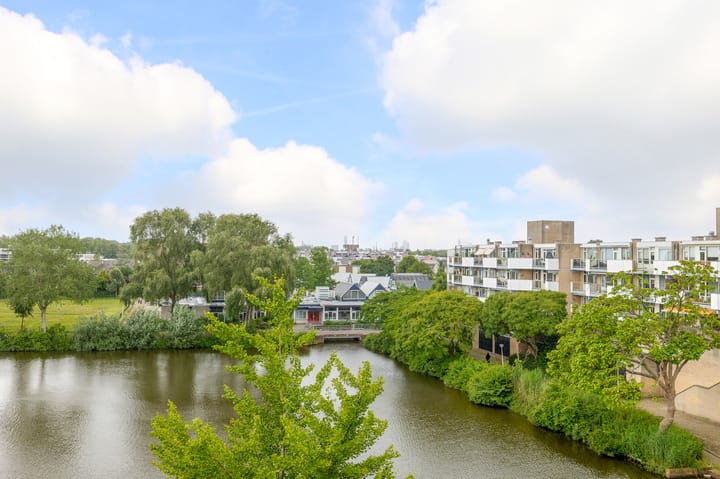 Foto 29 van Henry Moorepassage 252