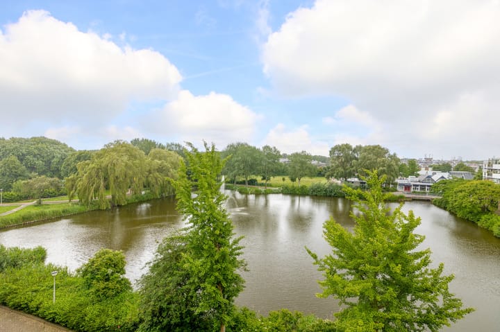 Foto 30 van Henry Moorepassage 252