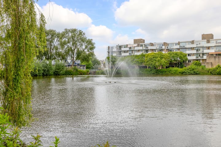 Foto 42 van Henry Moorepassage 252