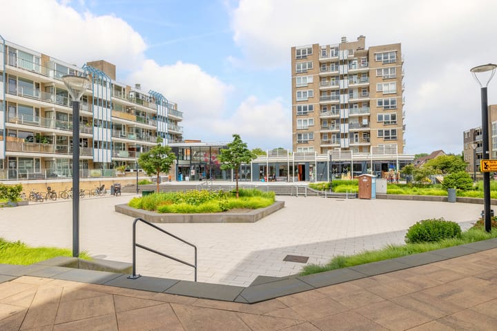 Foto 47 van Henry Moorepassage 252