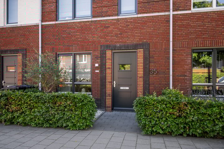 Foto 31 van Citroenvlinder 35