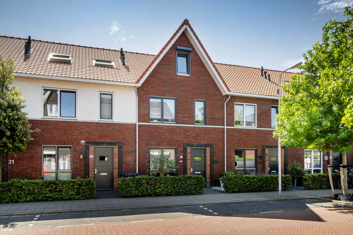 Foto 32 van Citroenvlinder 35