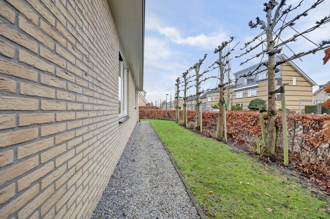 Foto 46 van Hoedenmakersgilde 2