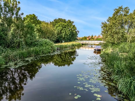 Brugwacht 162 tertiary image