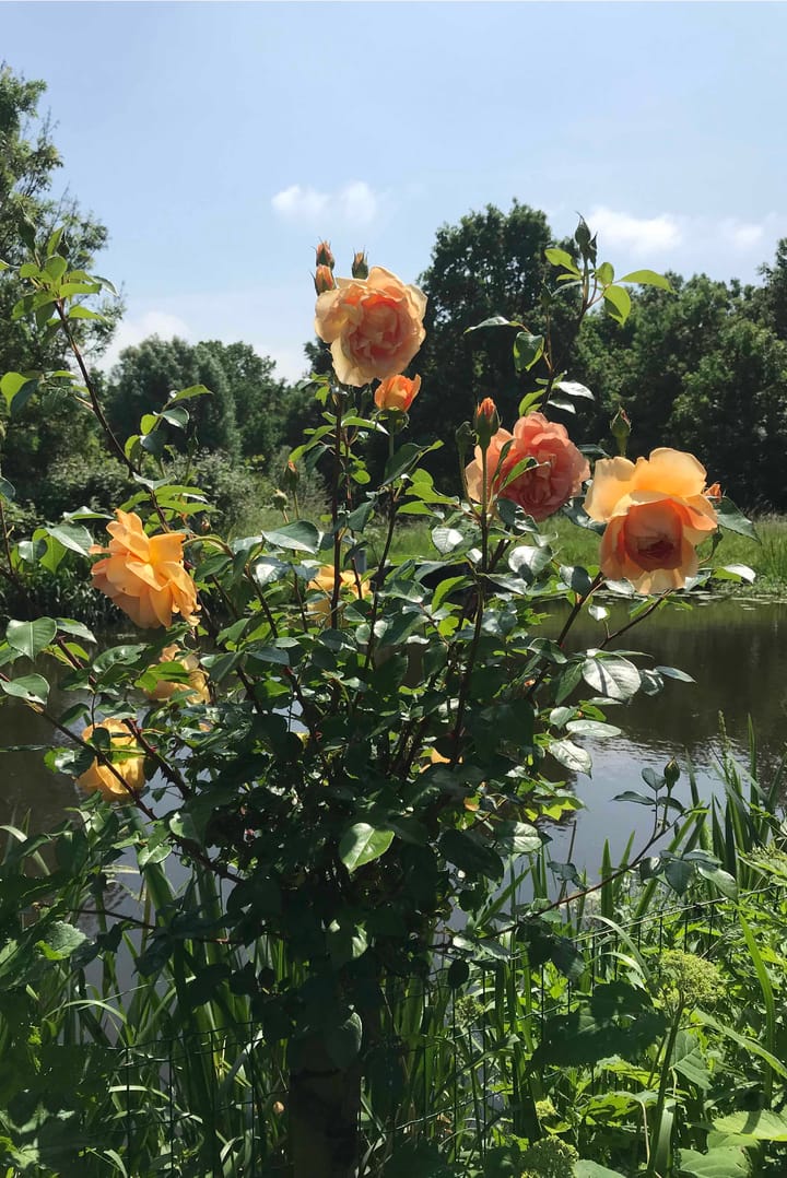 Foto 57 van Brugwacht 162