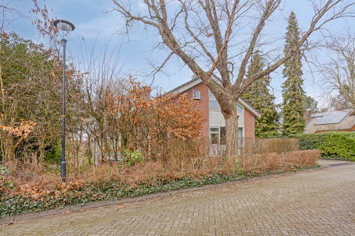 Foto 8 van Molenwerf 4