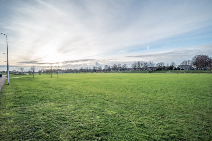 Photo 58 of Albert Margrypad 4