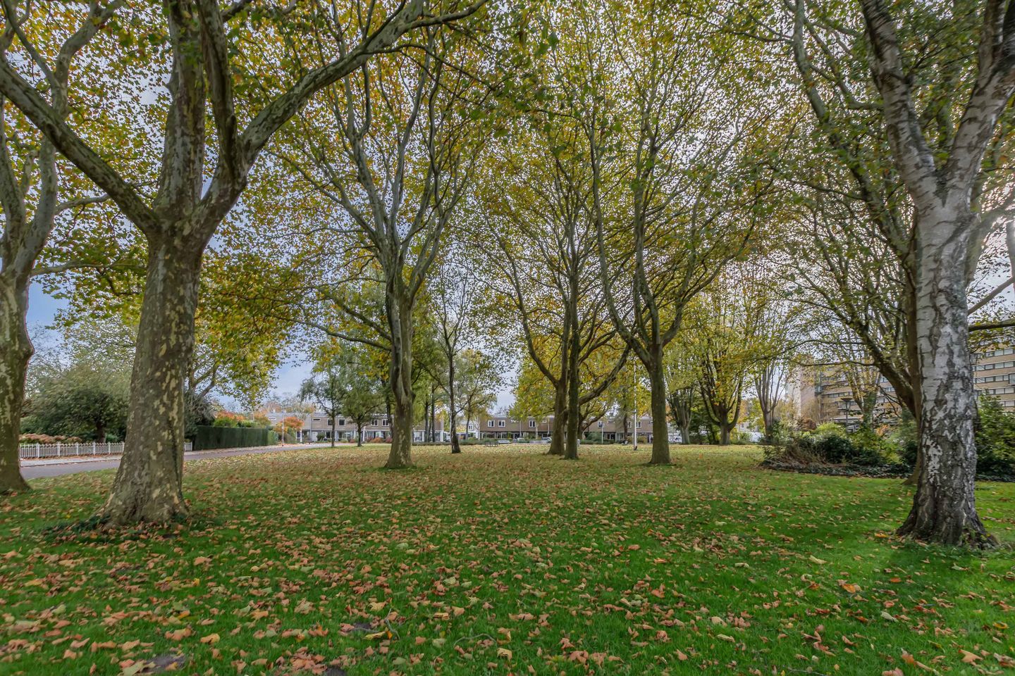 Foto 5 van Bumalaan 142