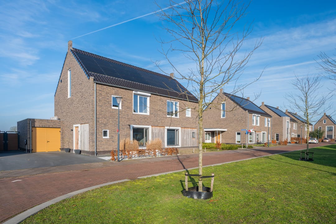 Foto 2 van Veldleeuwerik 17