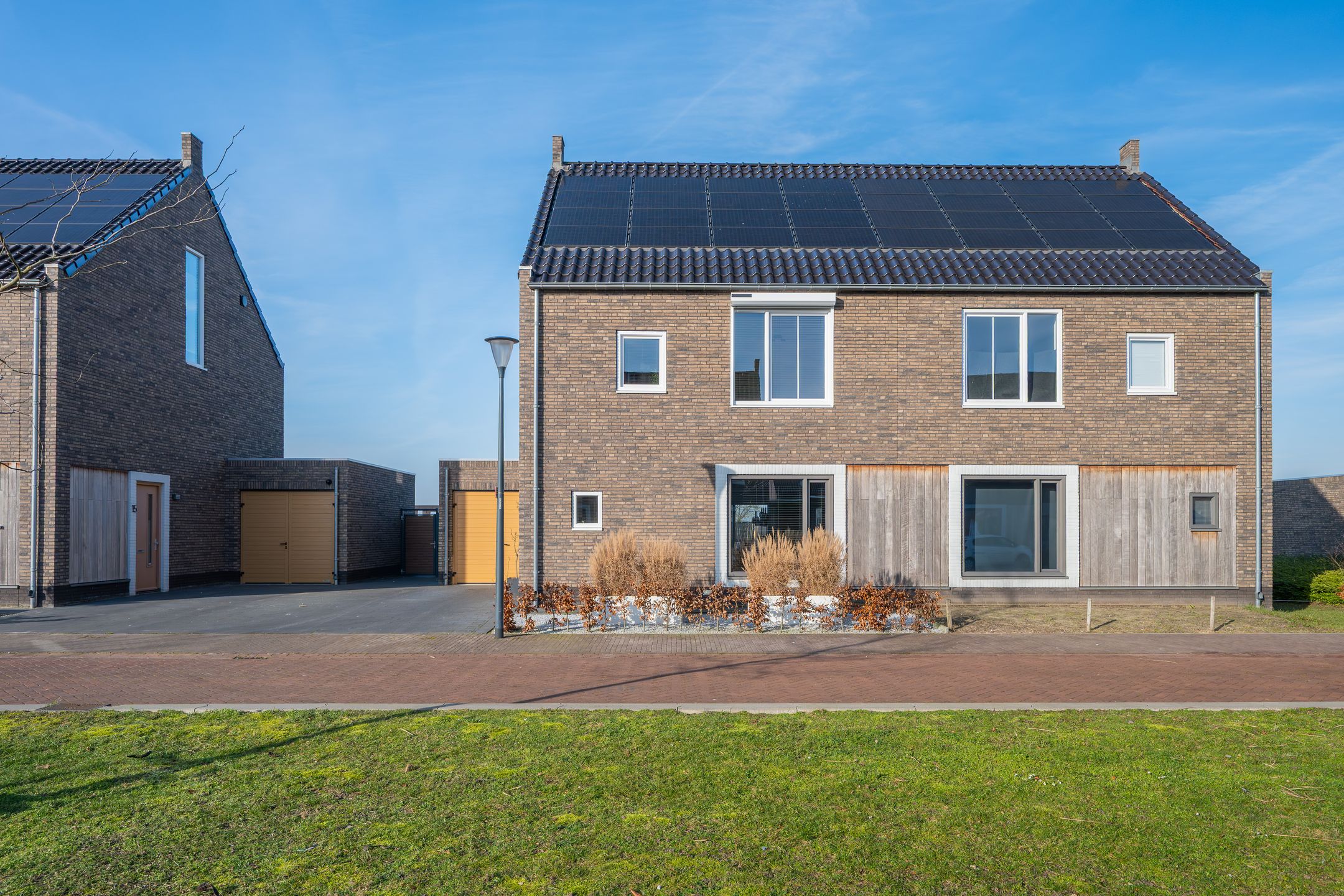 Foto 3 van Veldleeuwerik 17