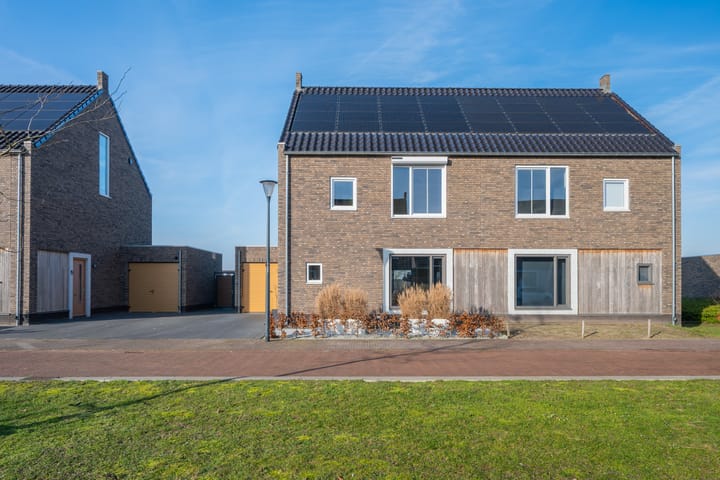 Foto 3 van Veldleeuwerik 17