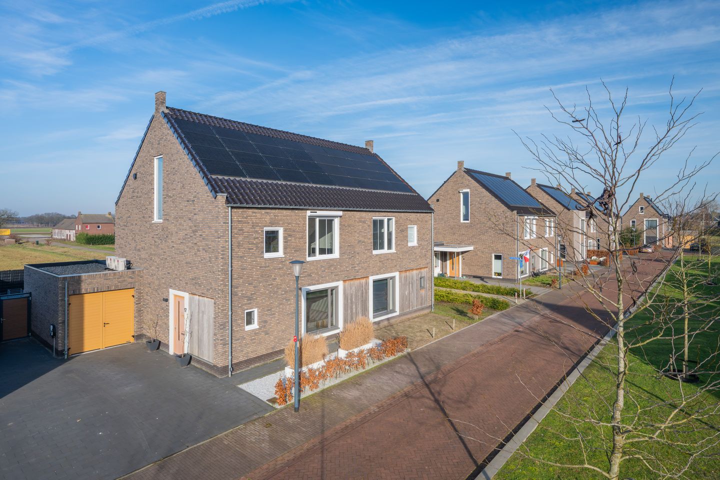 Foto 5 van Veldleeuwerik 17