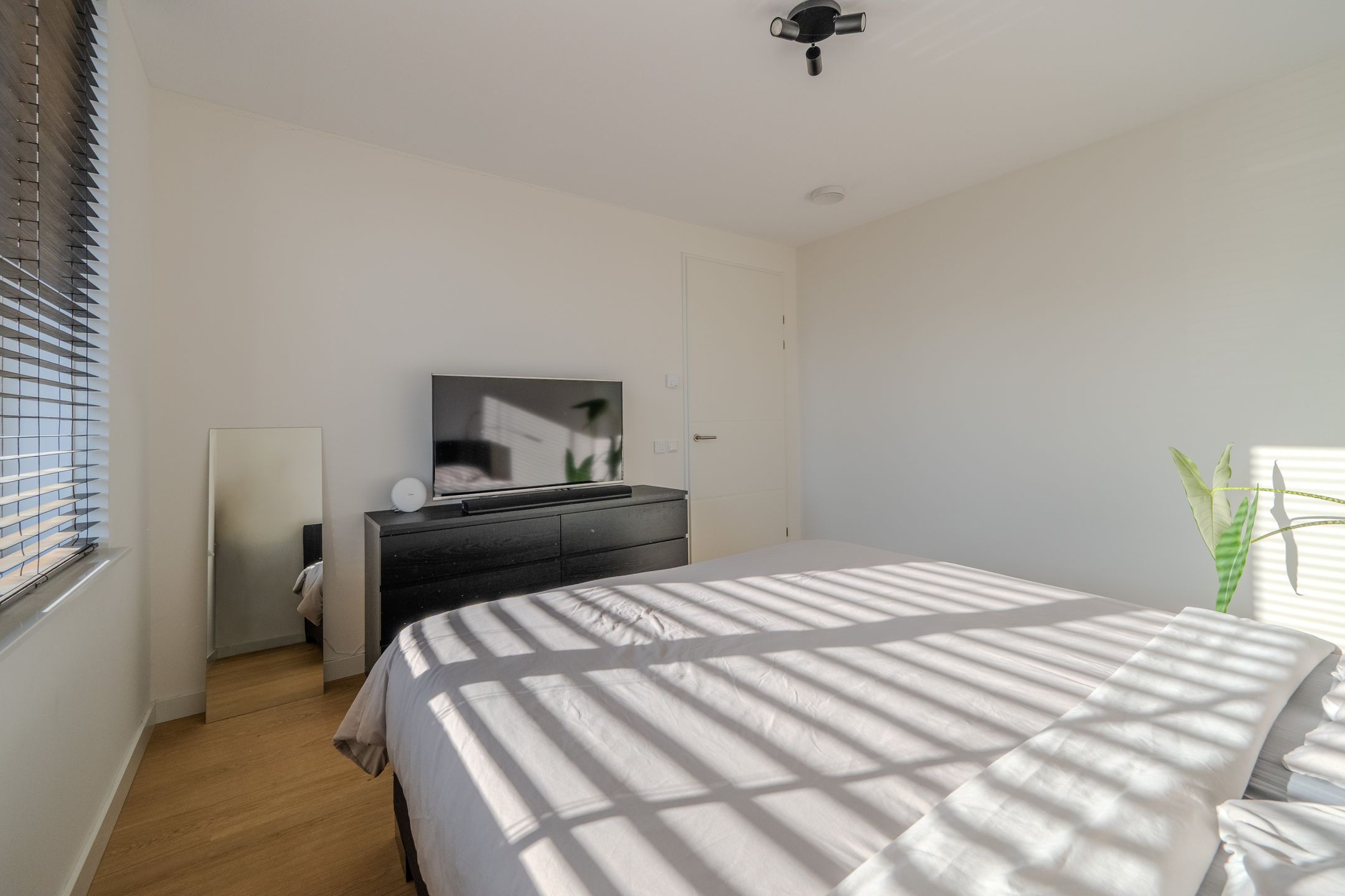 Foto 39 van Veldleeuwerik 17