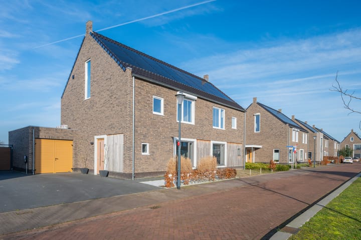 Foto 4 van Veldleeuwerik 17