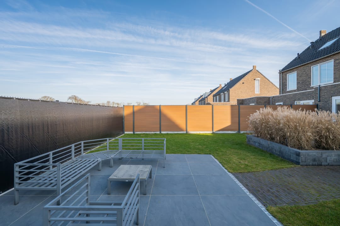 Foto 58 van Veldleeuwerik 17