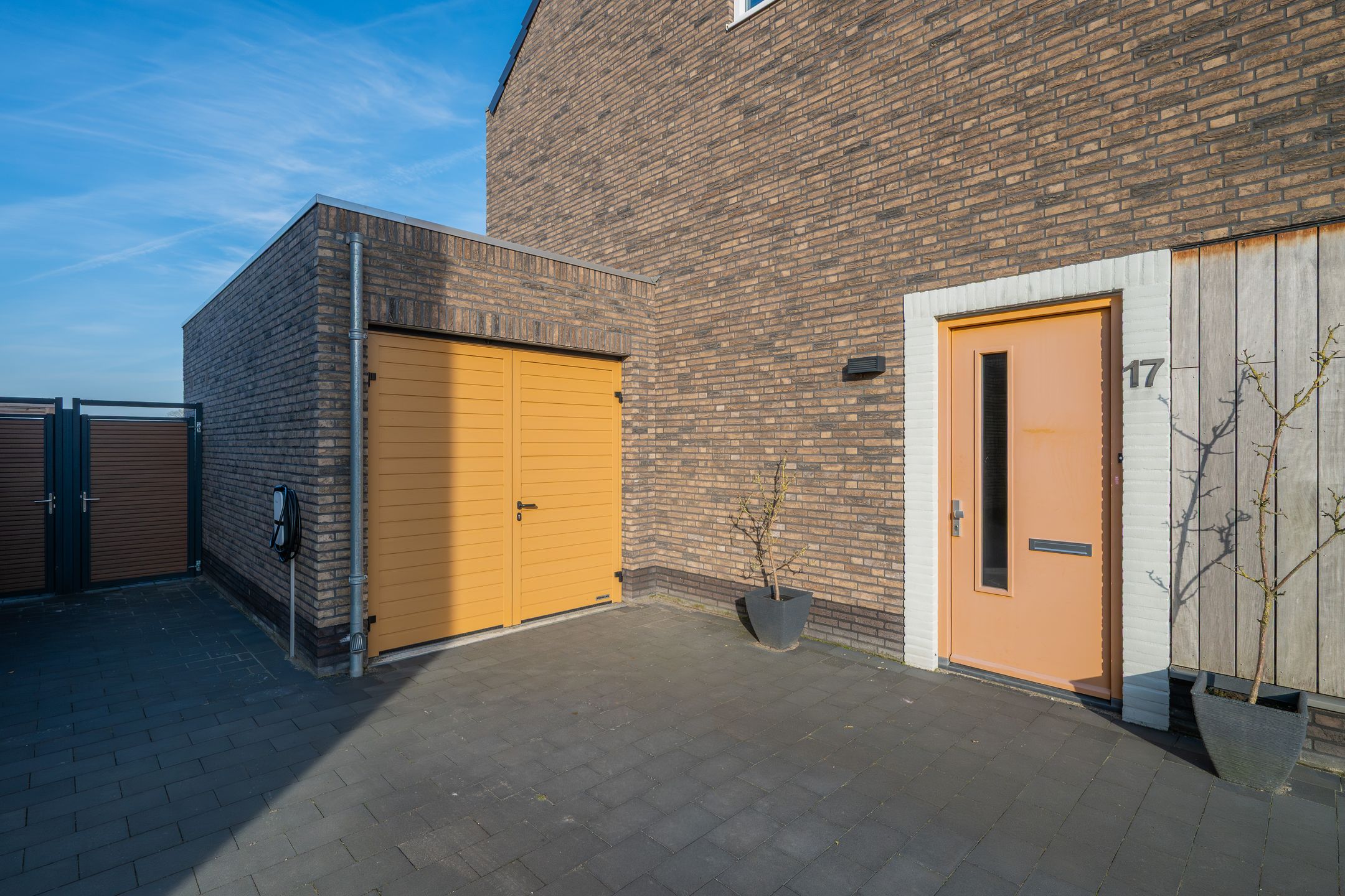 Foto 63 van Veldleeuwerik 17