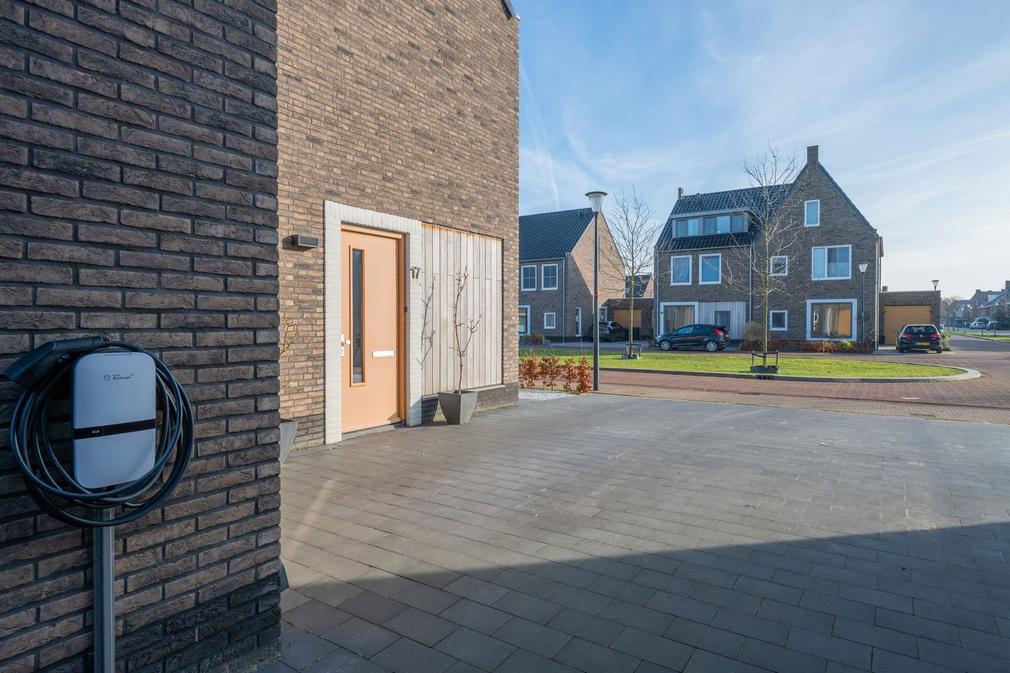 Foto 64 van Veldleeuwerik 17