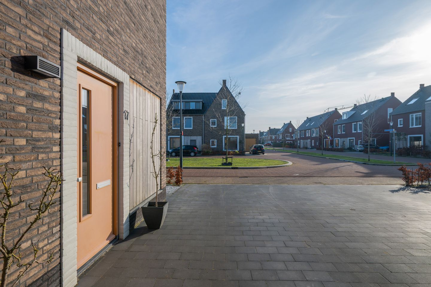 Foto 65 van Veldleeuwerik 17