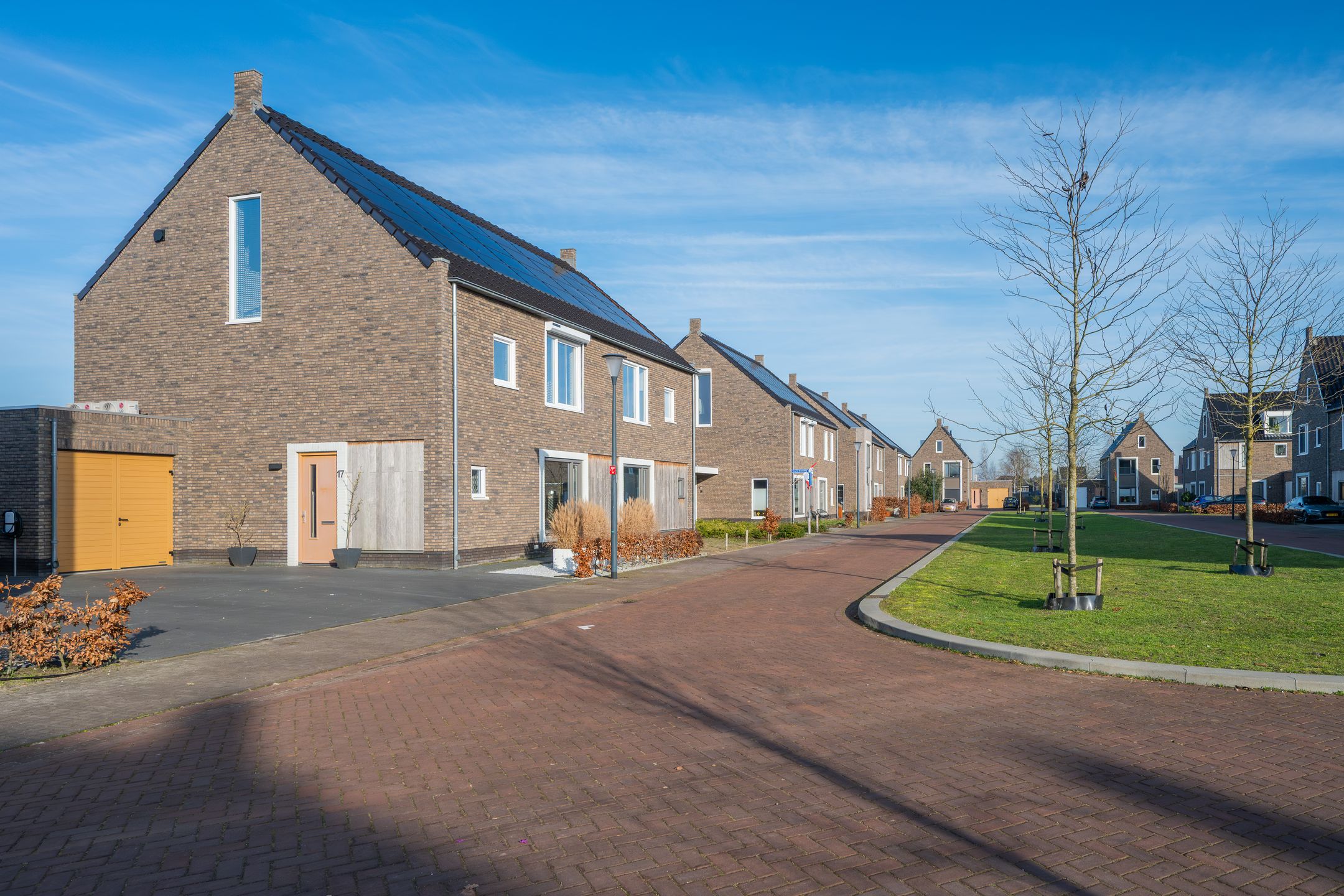 Foto 66 van Veldleeuwerik 17