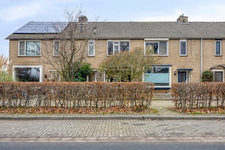 undefined main image