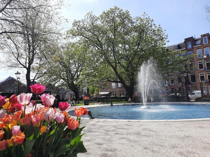 Photo 29 of Korte Schimmelstraat 13