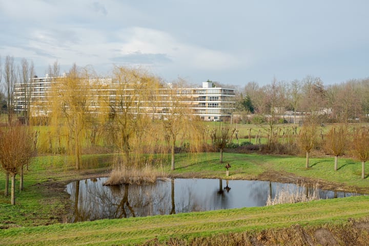 Foto 33 van Valkenlaar 42