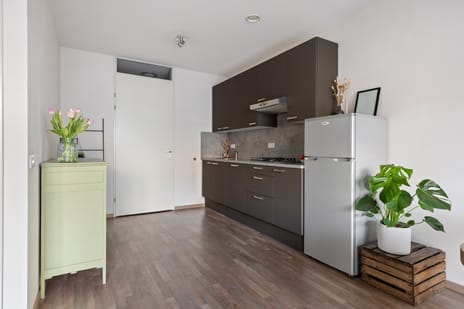 Pelmolenhof 3 tertiary image