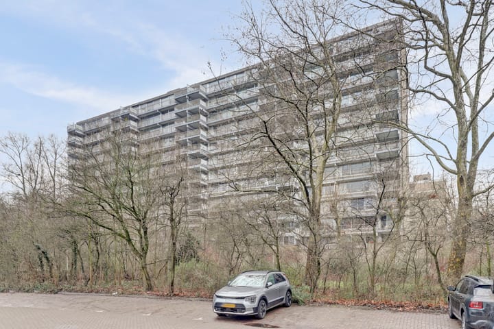 Foto 6 van Jan Campertlaan 105