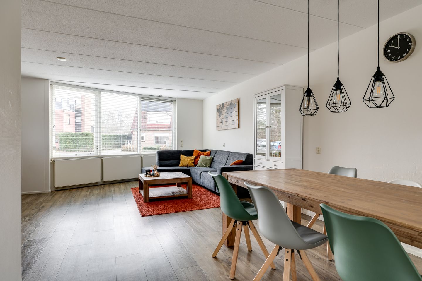 Foto 10 van de Vlierbes 171