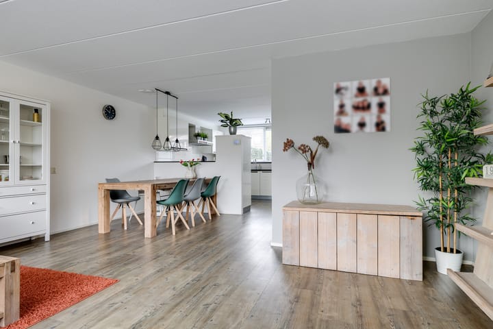 Foto 15 van de Vlierbes 171