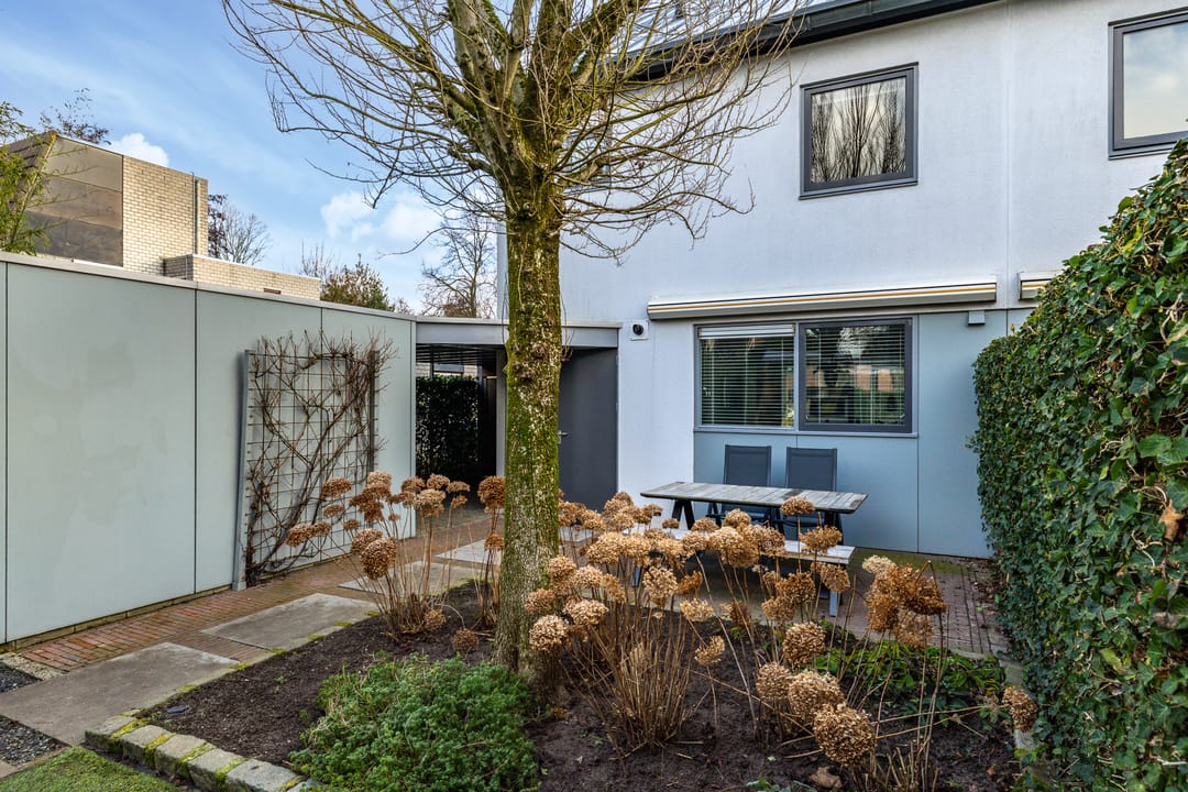 Foto 53 van de Vlierbes 171