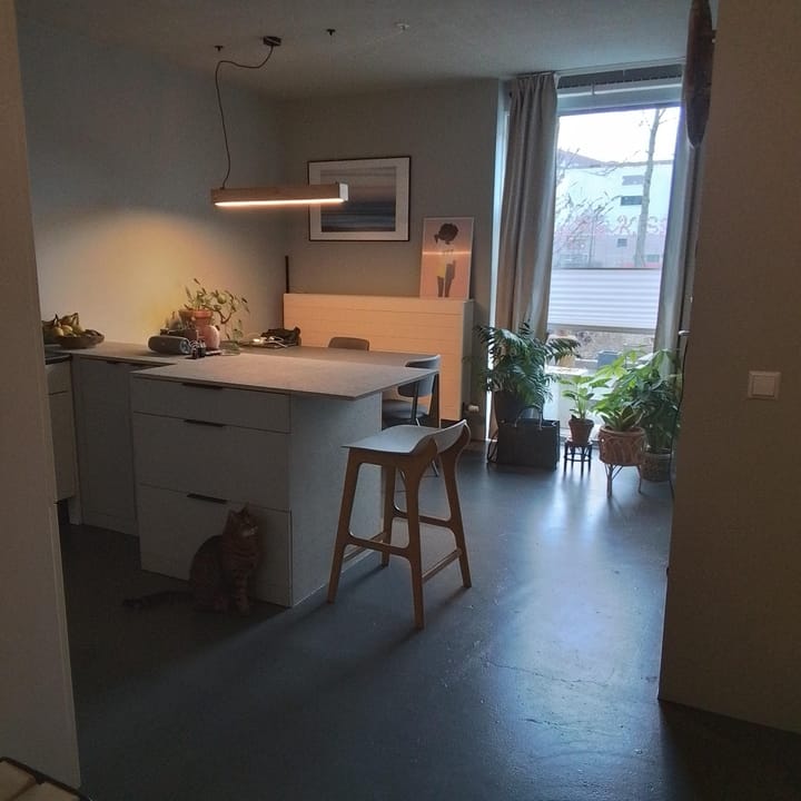 Photo 2 of Fanny Blankers-Koenlaan 13