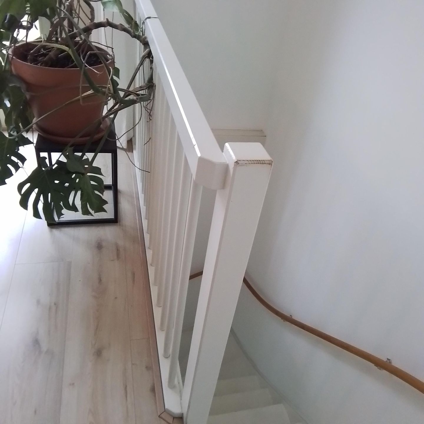 Foto 4 van Fanny Blankers-Koenlaan 13