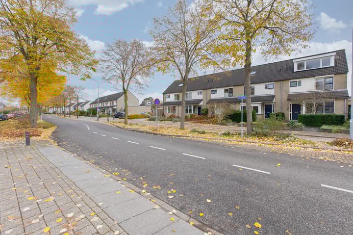 Foto 57 van Bellefleur 41