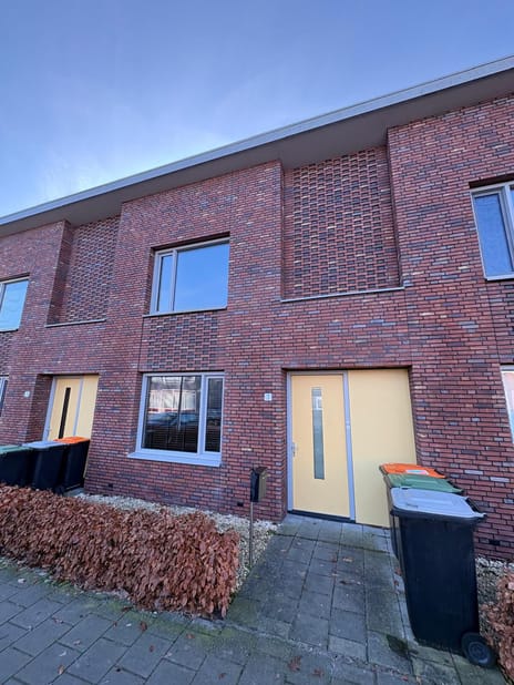 undefined main image