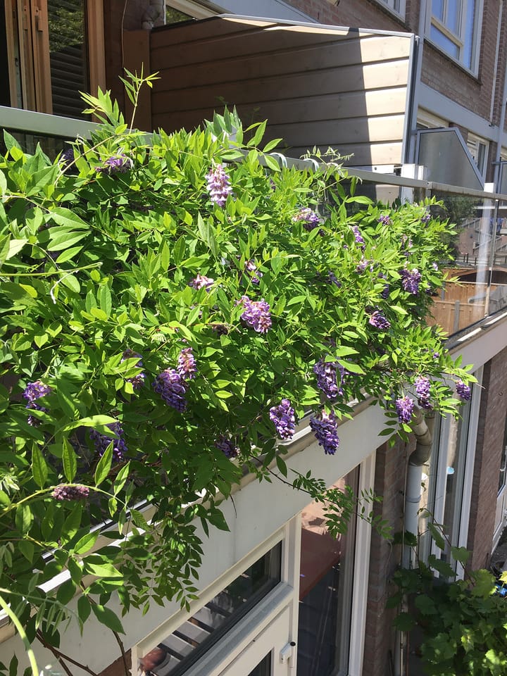 Foto 24 van Prattenburg 86