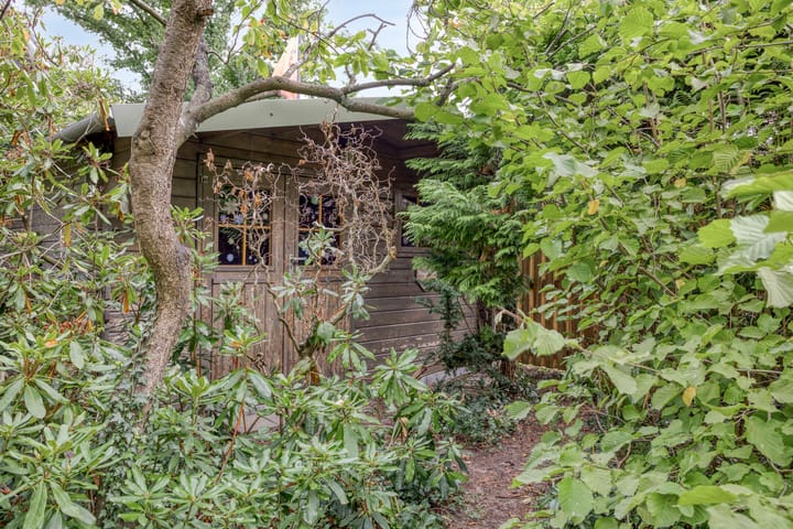 Foto 41 van Ecliptica 86