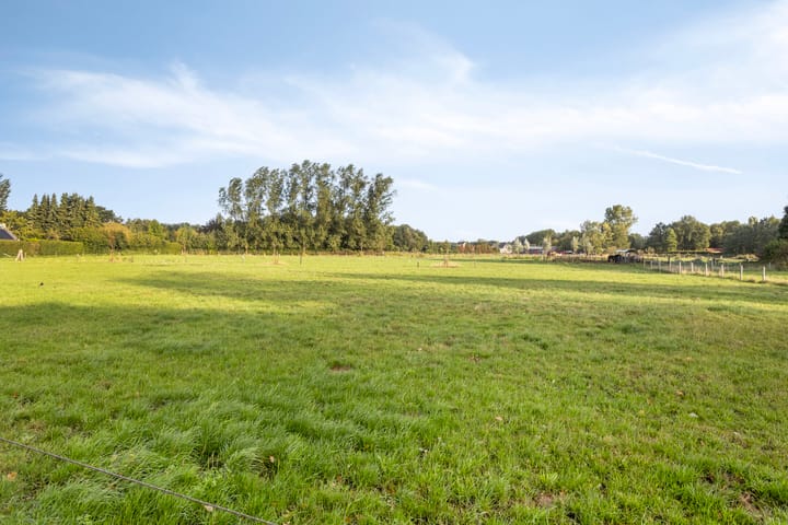 Foto 45 van Ecliptica 86