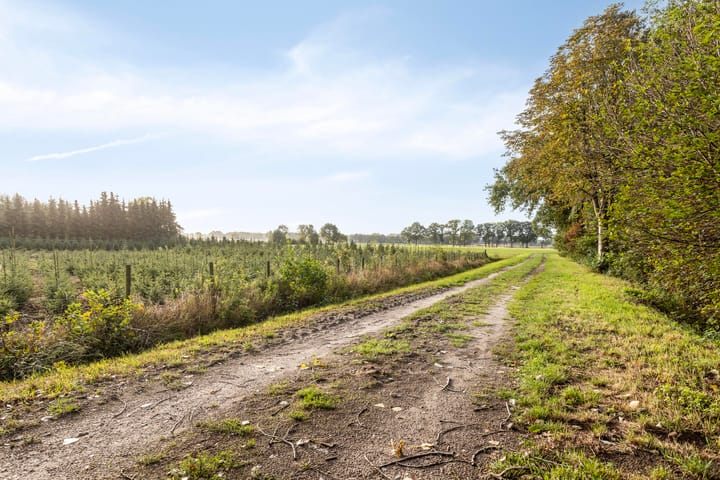 Foto 46 van Ecliptica 86