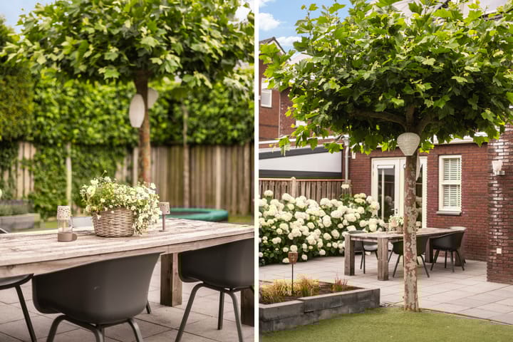 Photo 18 of Rhemenshuizenstraat 7